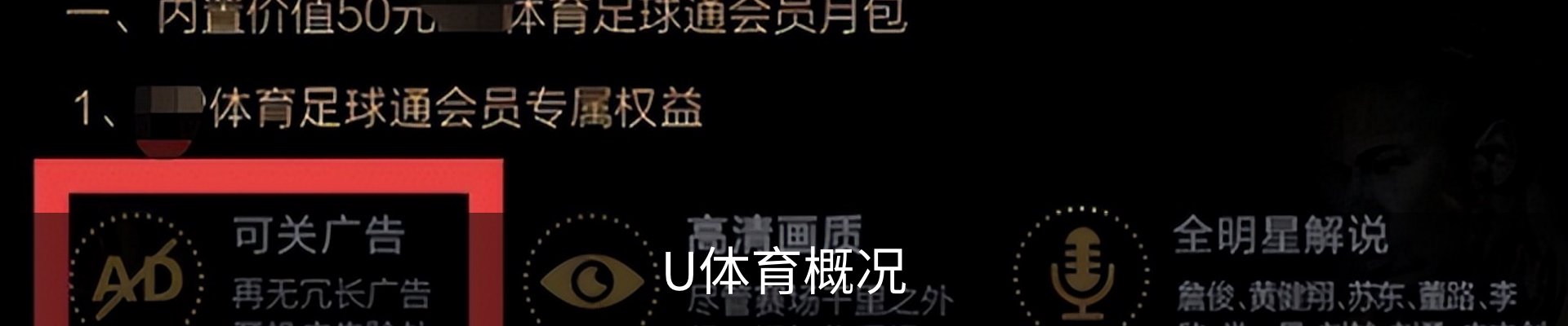 U体育概况